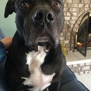 Meet your Posher, Tim